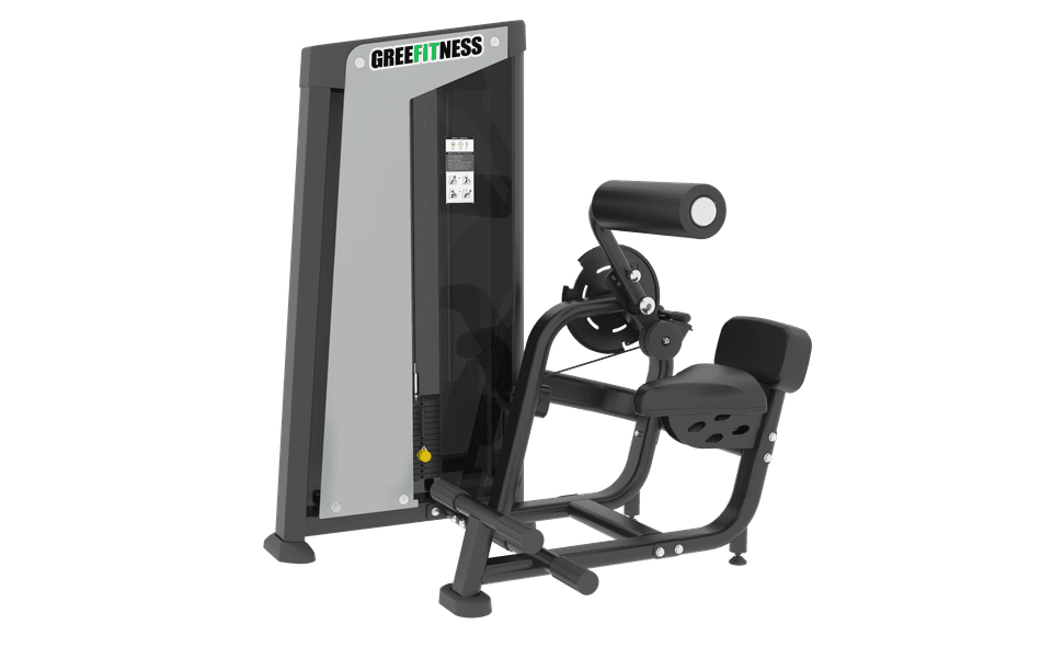 FH85B Lower Back & Abdominal Trainer