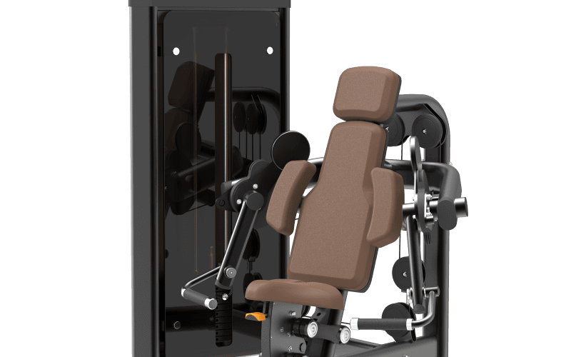DM005 Biceps Curl