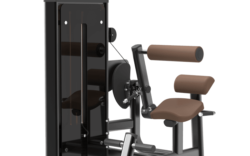 DM008 Back Extension