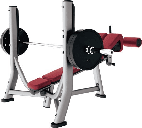SNX038 Olympic Decline Bench