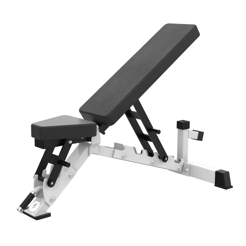 SAX042 Adjustable Dumbbell Bench