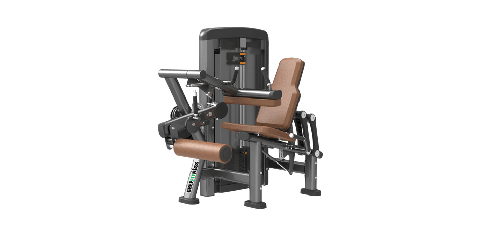 SN1516 Leg Extension/Curl