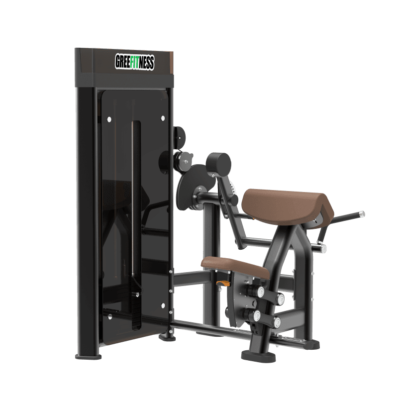 DM0506 Biceps/Triceps Machine