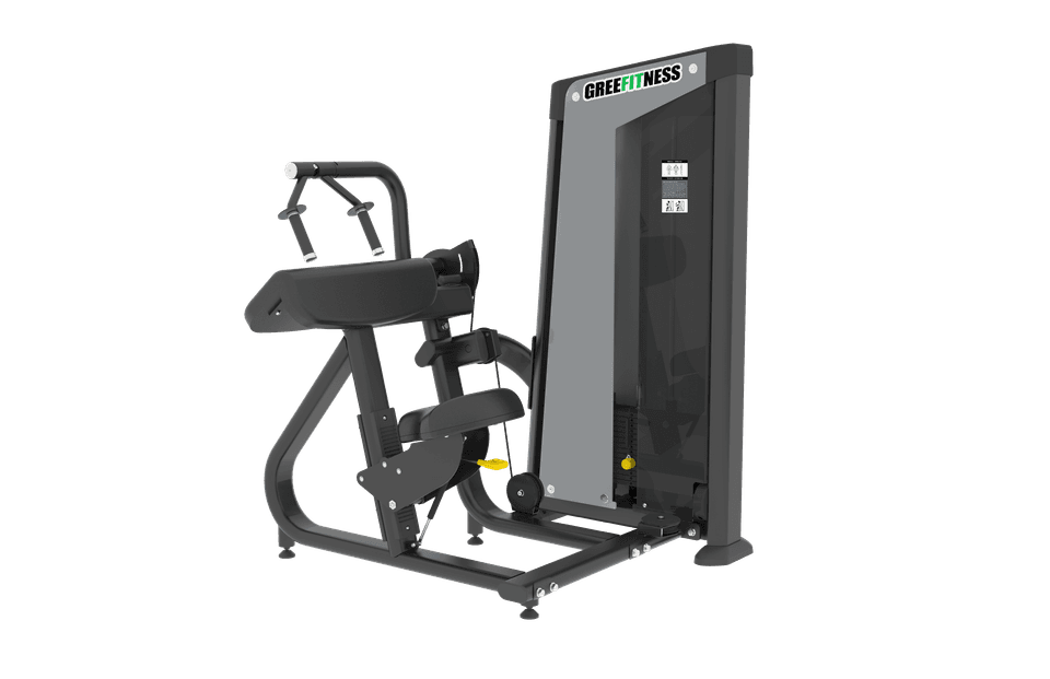 FH28 Triceps Extension