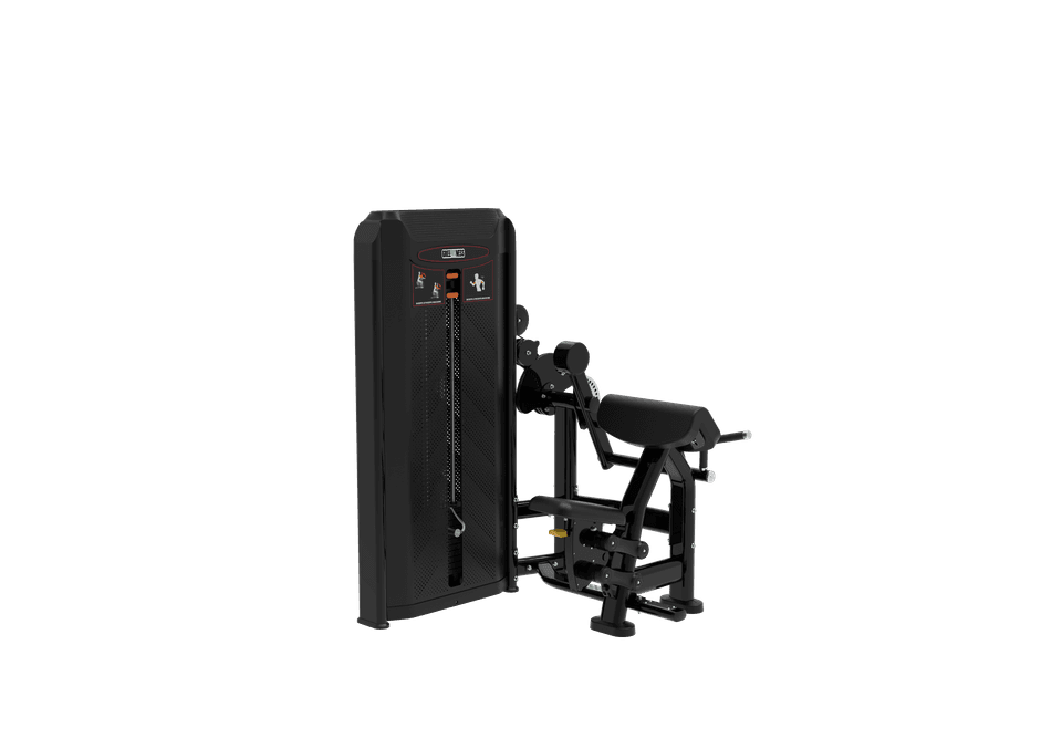 GW0506 Biceps/Triceps