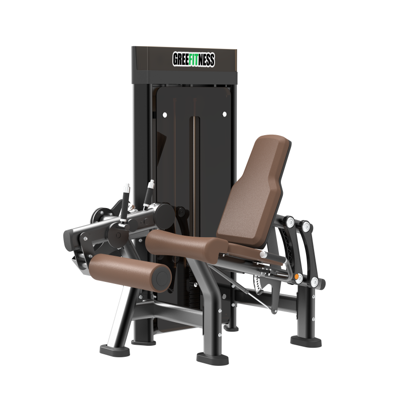 DM015 Leg Extension