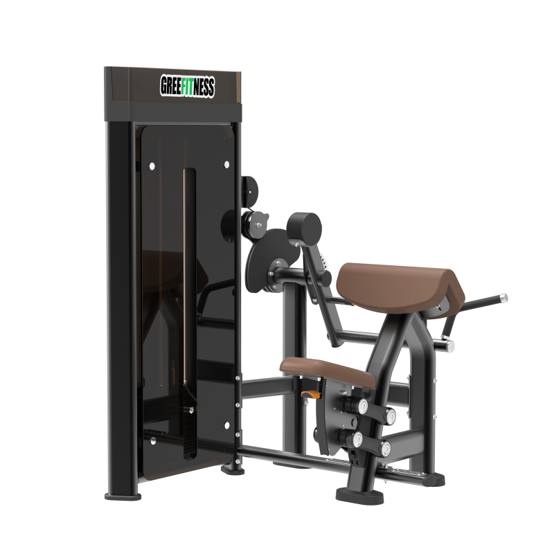 DM0506 Biceps/Triceps Machine