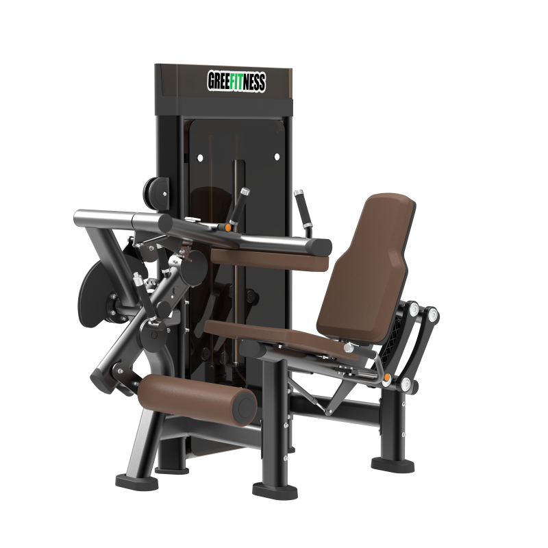 DM01516 Leg Extension/Curl